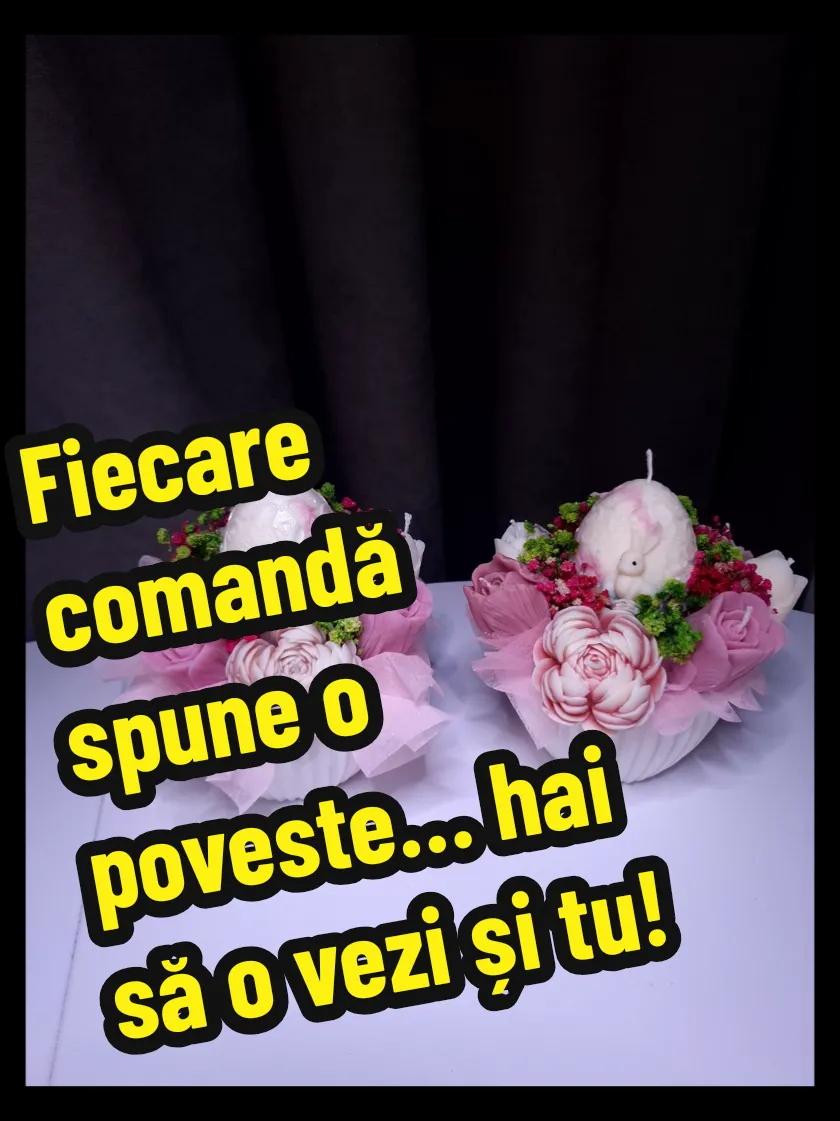 Filmuleț: Un mic moment din culise Ieri au plecat o parte din comenzi și deja au ajuns la